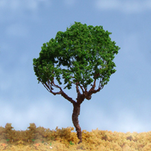 model trees